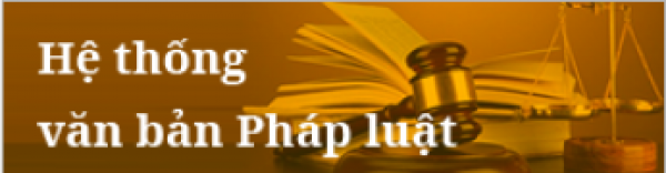 Cổng thông tin điện tử 2