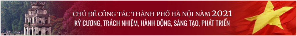 Chỉ đạo điều hành