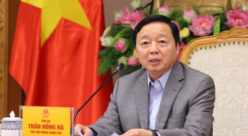 Sớm đề xuất mô hình hoạt động phù hợp cho Viện Nghiên cứu cao cấp về Toán