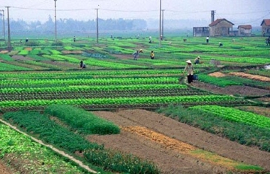 Đề xuất chính sách giải quyết việc làm, đào tạo nghề cho người có đất thu hồi